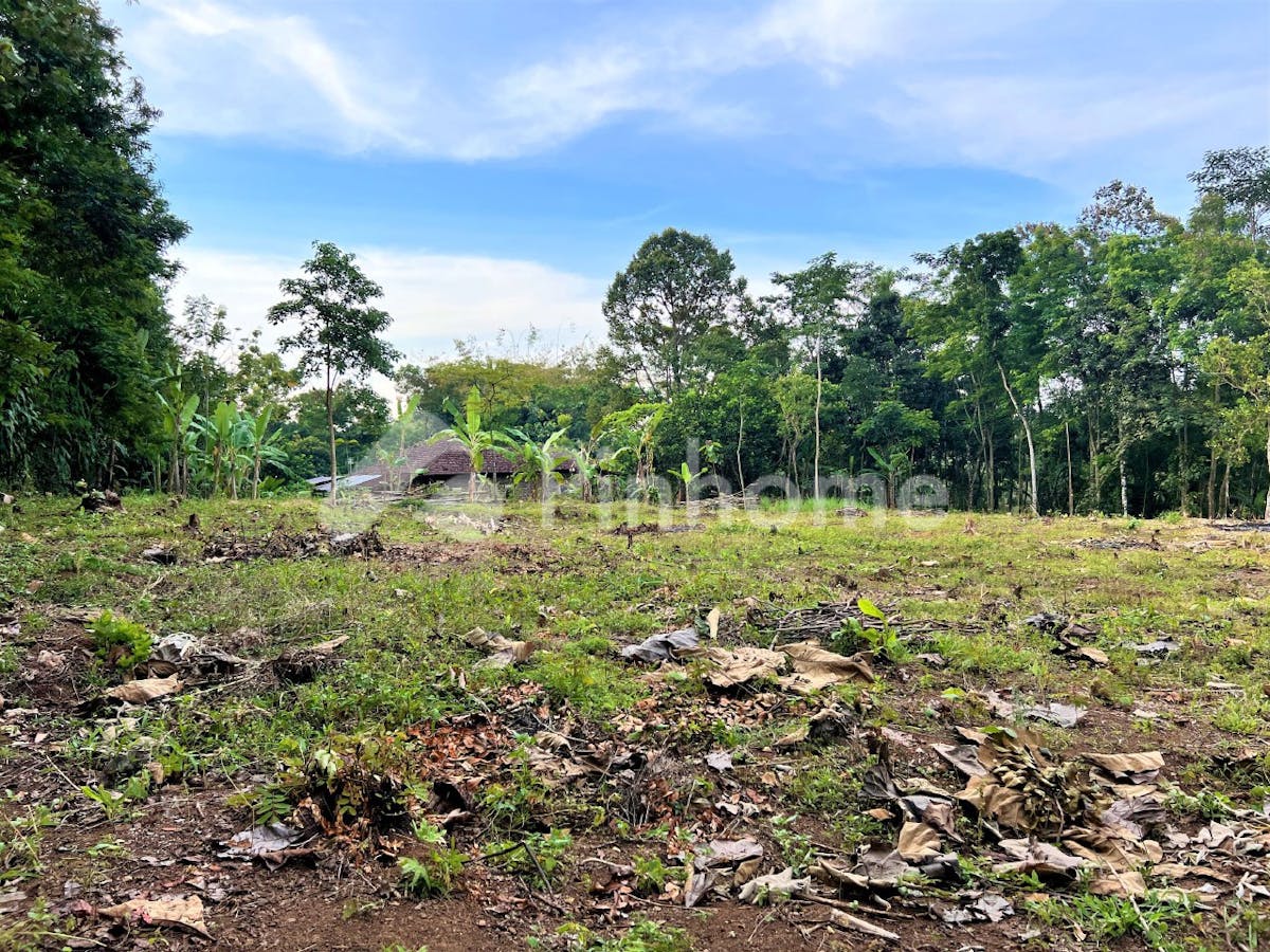 Dijual Tanah Komersial Lokasi Bagus Dekat Sekolah di Komplek Pasar Plangsalam Mojogedang Karanganyar - Gambar 1