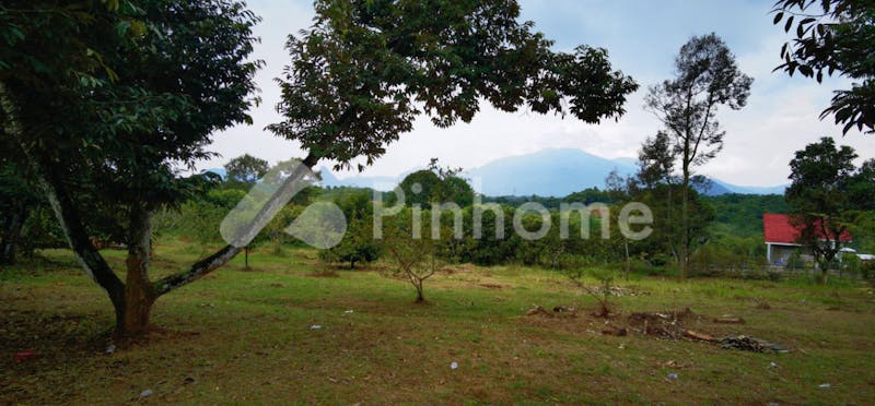 dijual tanah komersial lokasi bagus di desa cibadak kecamatan tanjungsari - 3