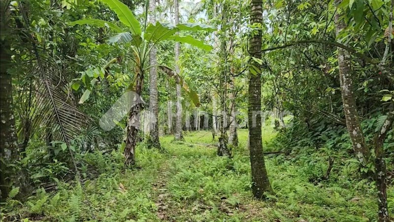 dijual tanah komersial lokasi bagus view sawah dan los tebing di penebel - 2