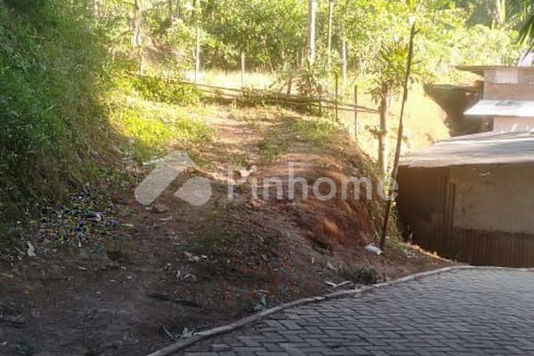 dijual tanah komersial murah produktif kebun jeruk di malangbong garut - 2