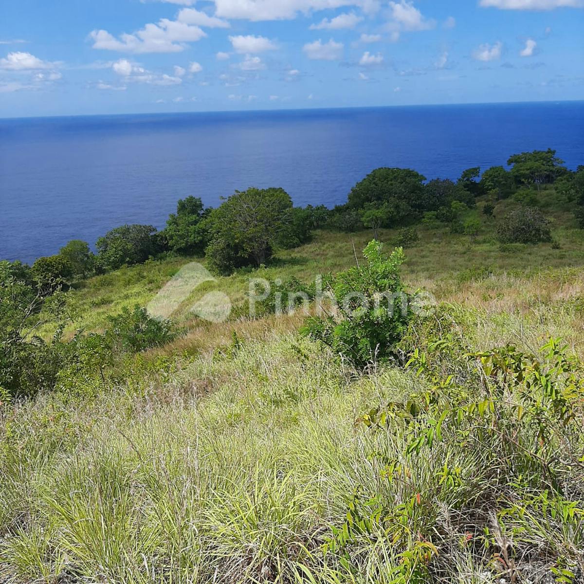 Dijual Tanah Komersial Cliff Front Nusapenida - Gambar 2