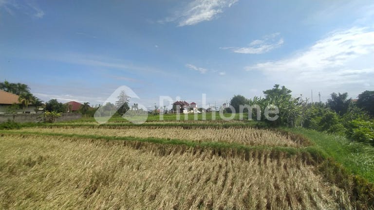 Dijual Tanah Komersial Harga Terjangkau di Ketewel, Kec. Sukawati, Kabupaten Gianyar, Bali - Gambar 3