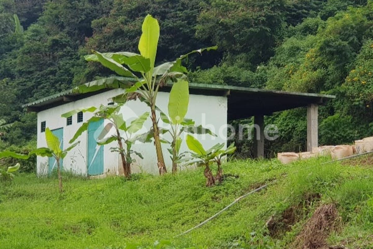 similar property dijual tanah komersial ex wisata kampung gajah di cihideung - 26