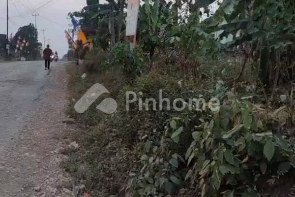 dijual tanah komersial 5364m2 di jln smk n 1 gadingrejo pringsewu lampung - 2