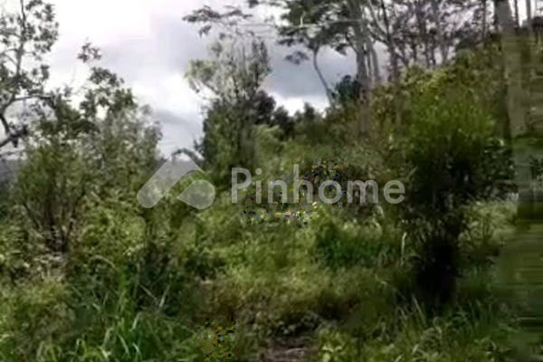 disewakan tanah komersial di batur view gunung di jl raya batur - 2