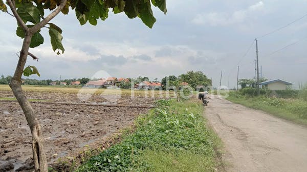 dijual tanah komersial dijual cepat tanah sawah produksi shm di jl utama desa klampis brebes - 4