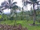 Dijual Tanah Komersial Lokasi Bagus di Gunung Salak Salamadeg Tabanan Bali Indonesia - Thumbnail 1