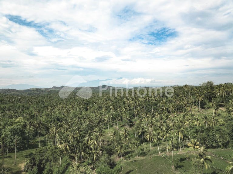 Dijual Tanah Komersial Lingkungan Nyaman dan Asri di Desa Mangkung Praya Barat - Gambar 3