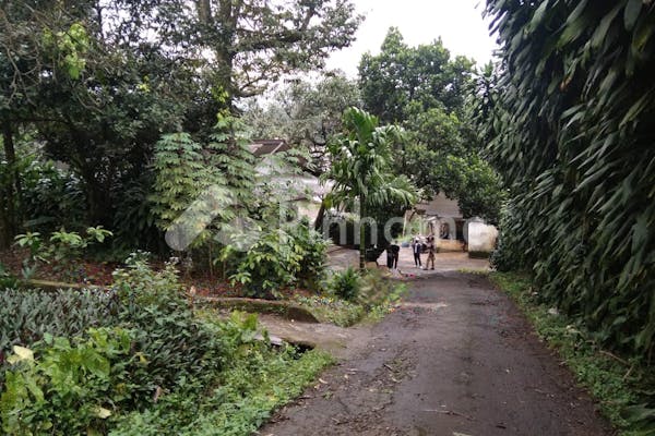 dijual tanah komersial peternakan ayam petelur bogor di desa sukaraksa - 12