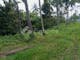 Dijual Tanah Komersial Lokasi Bagus di Gunung Salak Salamadeg Tabanan Bali Indonesia - Thumbnail 3