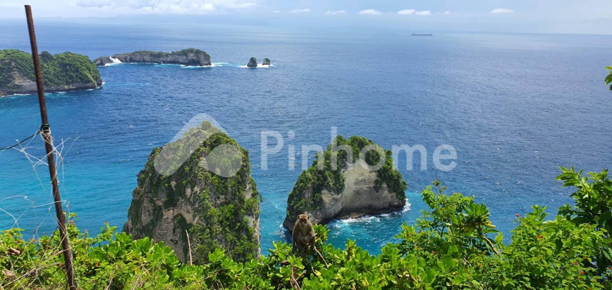 Dijual Tanah Komersial Lokasi Bagus Destinasi Wisata di Nusa Penida (Nusapenida) - Gambar 5
