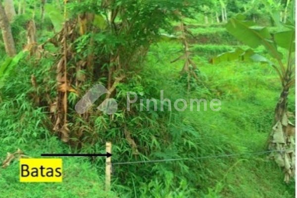 dijual tanah komersial sangat cocok utk investasi di depan kampus untidar kab magelang kota mungkid - 3