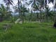 Dijual Tanah Komersial Lokasi Bagus di Gunung Salak Salamadeg Tabanan Bali Indonesia - Thumbnail 4