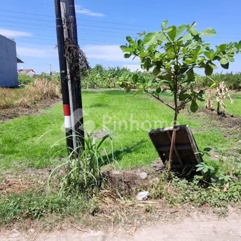 dijual rumah tanah jl jeruk wage sda di jl jeruk wage - 1