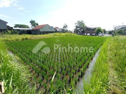 Dijual Tanah Komersial Cocok Untuk Investasi di Jl. Provinsi Cianjur - Bandung, Kab. Cianjur - Gambar 3
