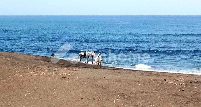 Dijual Tanah Komersial Harga Terbaik Dekat Pantai di Jalan Pantai Saba Gianyar - Gambar 3