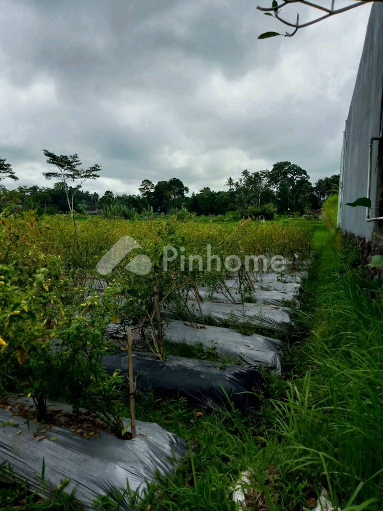 Dijual Tanah Residensial Lokasi Strategis Dekat Ubud di Dusun Banjar Gitgit - Gambar 4