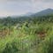 Dijual Tanah Komersial Sangat Cocok Untuk Investasi di Cilengkrang - Thumbnail 2