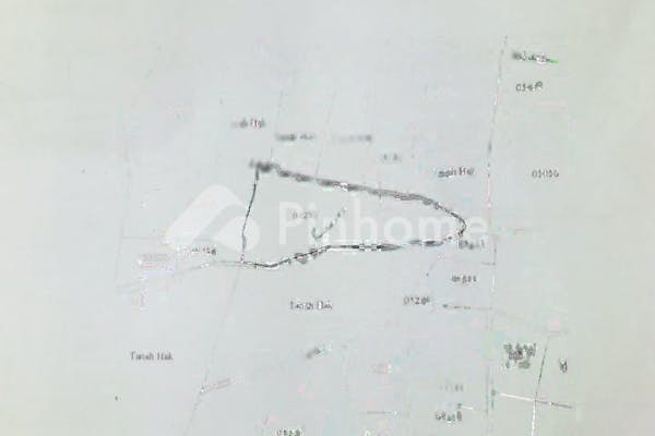 dijual tanah komersial 4662m2 di sumberkolak  sumber kolak - 2