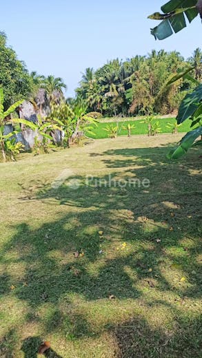 dijual tanah residensial murah di kedungu tabanan dkt pantai cinta canggu di kedungu belalang kediri tabanan bali - 2