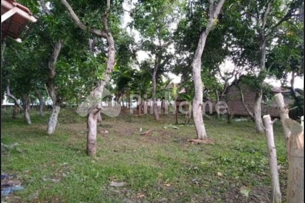 dijual tanah komersial di jl sumatra kelurahan mangkujayan - 3