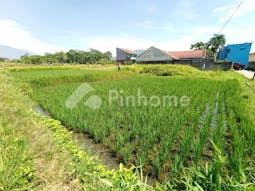 Dijual Tanah Komersial Cocok Untuk Investasi di Jl. Provinsi Cianjur - Bandung, Kab. Cianjur - Gambar 4