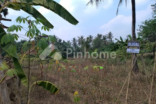 dijual tanah residensial 778m2 di jln raya waringin kurung kramatwatu serang - 5