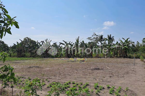 dijual tanah residensial kebun durian unggulan di kebun durian di desa sukatani batu itam - 4