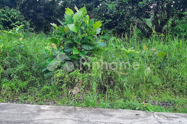 dijual tanah residensial tanah kebun bebas banjir di jl  desa durian gg  parit pangeran - 5