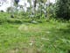 Dijual Tanah Komersial Lingkungan Asri View Jungle di Tegallalang - Thumbnail 2