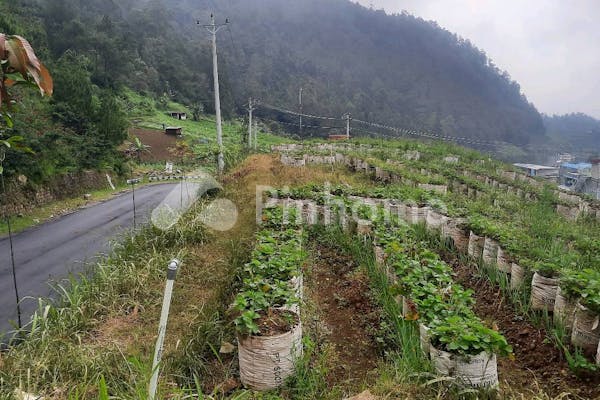 dijual tanah komersial bu di jl  alternatif tawangmangu sarangan - 3