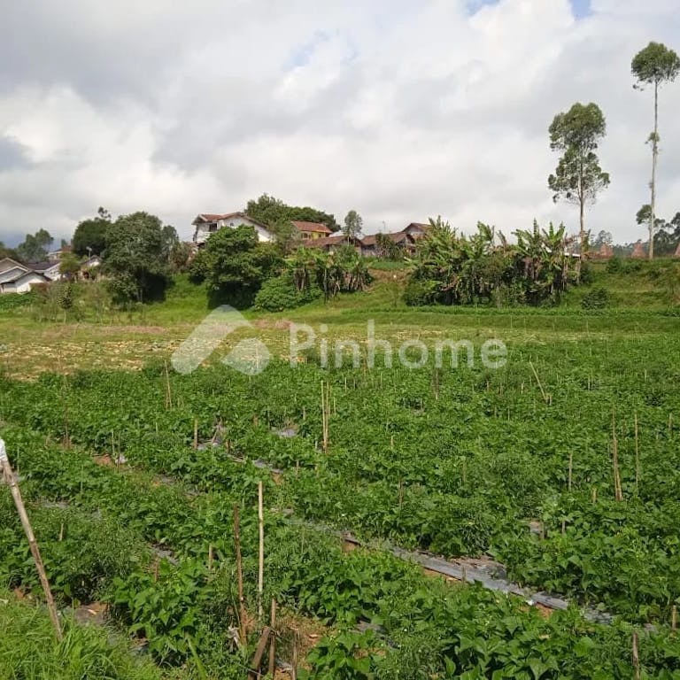 Dijual Tanah Residensial Lokasi Strategis Dekat Dengan Pemukiman di Cisangkuy - Gambar 2