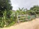 Dijual Tanah Residensial Lokasi Bagus Dekat Pantai di Uma Duwi - Thumbnail 2