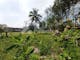 Dijual Tanah Komersial Lokasi Strategis di Cianjur, Jawa Barat - Thumbnail 12