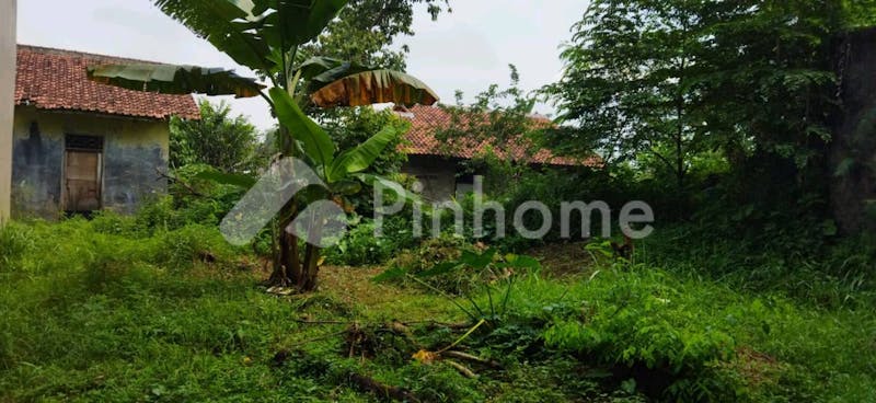 dijual tanah komersial bonus rumah lokasi bagus di cibinong - 1