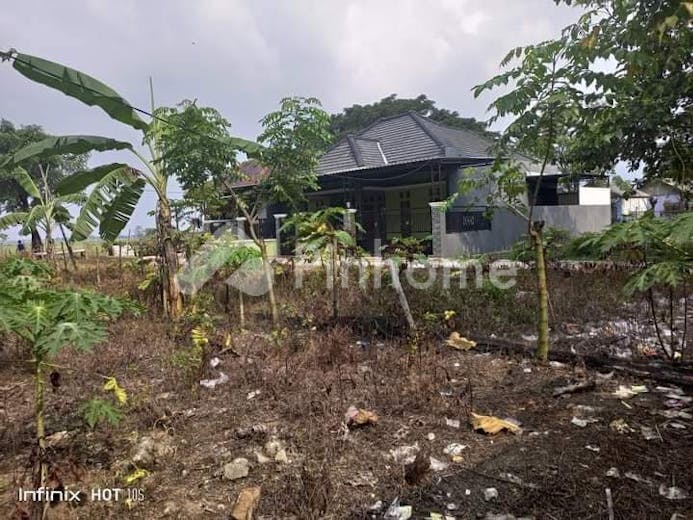 dijual tanah residensial lokasi strategis dekat tol di kertamukti  kerta mukti - 3