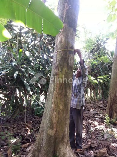 dijual tanah komersial bonus bangunan siap bangun di cigudeg - 5