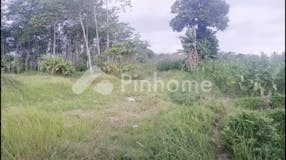 Dijual Tanah Residensial Lokasi Strategis di Dsn Tonoboyo - Gambar 2