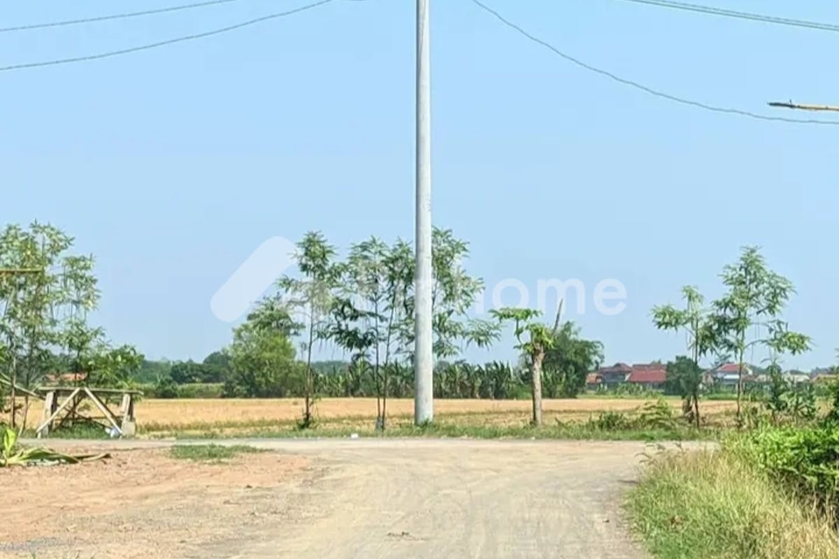 similar property dijual tanah residensial kangkung di kangkung - 1