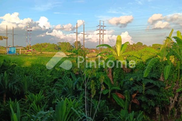 dijual rumah dekat rumah sakit kapal di jln raya abianbase mengwi - 3