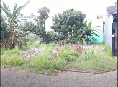 dijual tanah residensial lokasi bagus dekat undip di pedalangan - 5