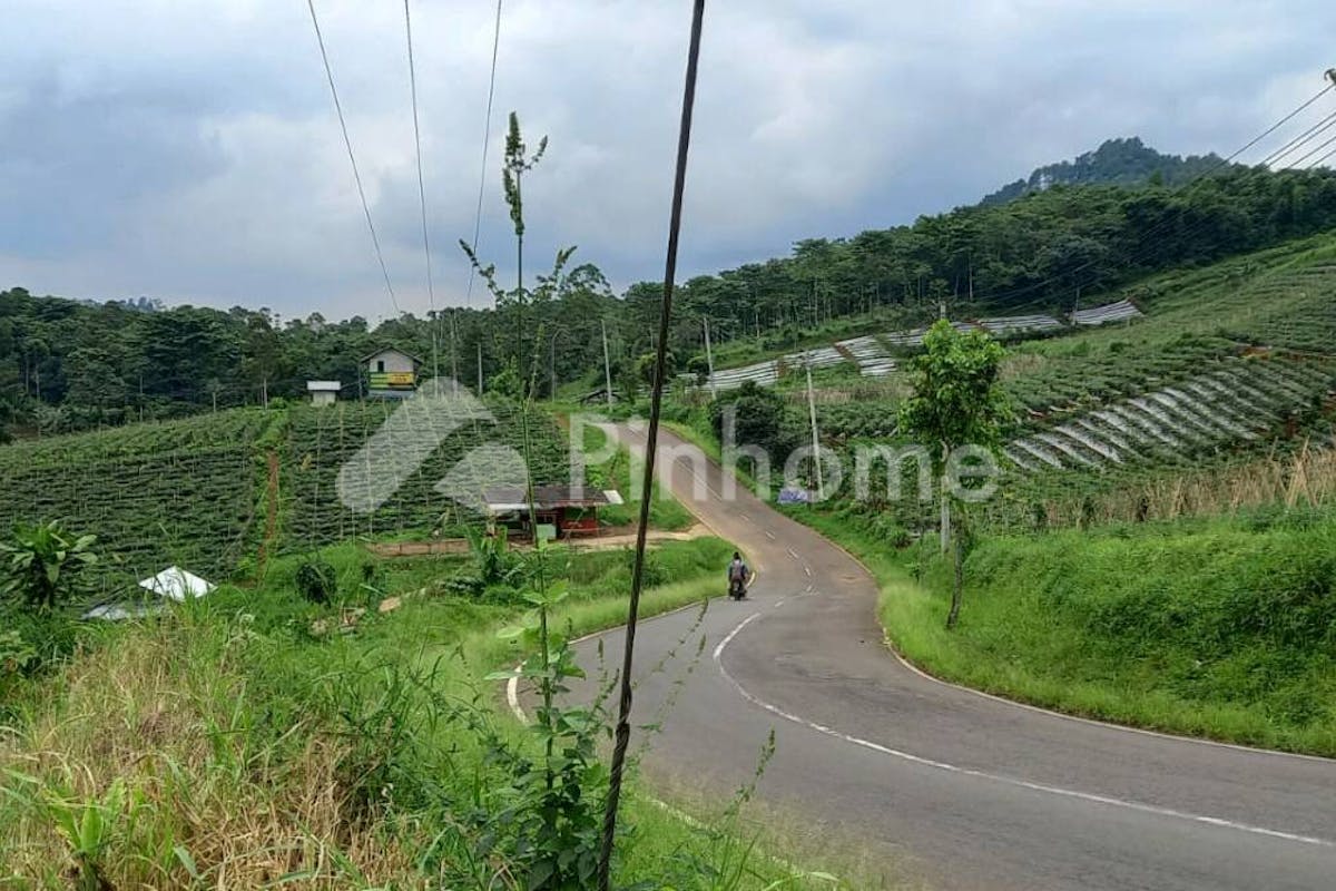 similar property dijual tanah residensial lokasi strategis dekat jalan raya di kadungora - 1