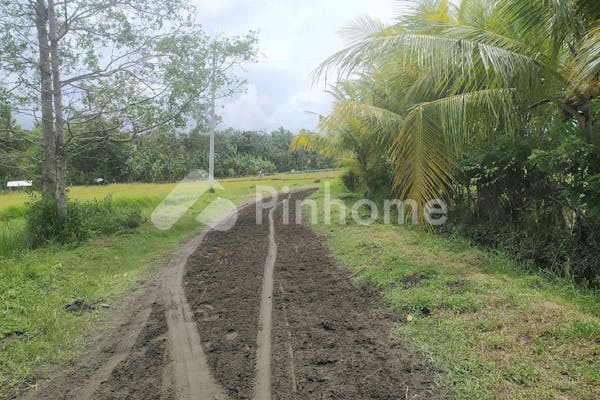 dijual tanah komersial 1 8 hektare untuk tambak di tuwed melaya jembrana bali - 6