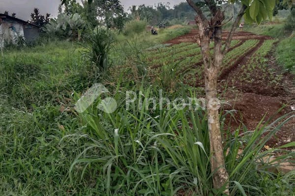 dijual tanah komersial lokasi strategis di baros - 2