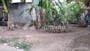Dijual Tanah Residensial Cocok Untuk Investasi di Jatiluhur - Thumbnail 1