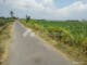 Dijual Tanah Komersial Lokasi Bagus Dekat Alun2 di Tokelan Panji Situbondo Jawa Timur - Thumbnail 4