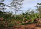 Dijual Tanah Residensial Harga Terbaik Dekat Agrowisata di Kampung Sukalayu, Jl. Cibodas - Bukit Tunggul - Thumbnail 3