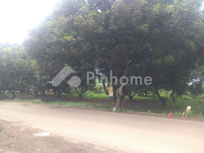 dijual tanah komersial dekat jalan raya lokasi bagus di jalan kampung kubang - 4