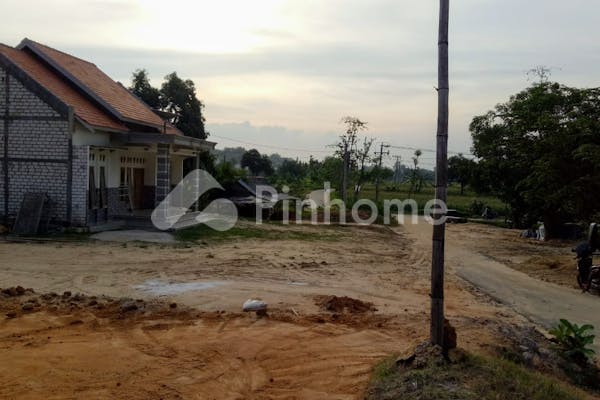 dijual tanah komersial tambang silika produktif di sotang  kec  tambakboyo  kabupaten tuban - 3