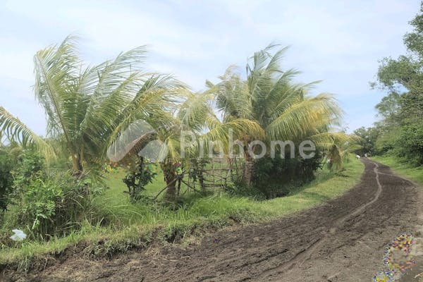 dijual tanah komersial 1 8 hektare untuk tambak di tuwed melaya jembrana bali - 3
